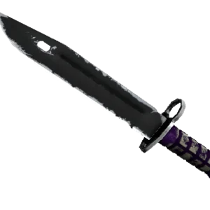 ★ StatTrak™ Bayonet | Ultraviolet (Well-Worn)