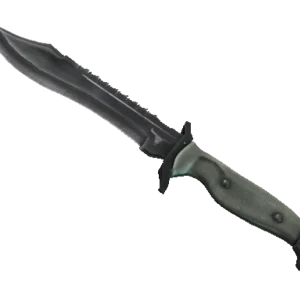 ★ StatTrak™ Bowie Knife