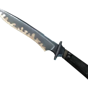 ★ StatTrak™ Classic Knife