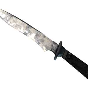 ★ StatTrak™ Classic Knife | Stained (Field-Tested)
