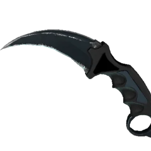 ★ StatTrak™ Karambit | Night (Well-Worn)