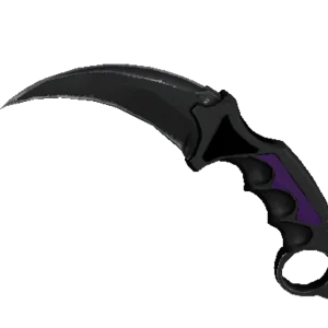 ★ StatTrak™ Karambit | Ultraviolet (Well-Worn)