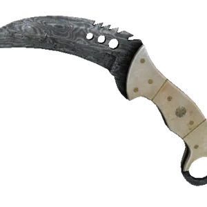 ★ StatTrak™ Talon Knife | Damascus Steel (Battle-Scarred)