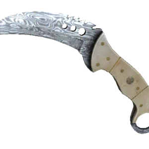 ★ StatTrak™ Talon Knife | Damascus Steel (Well-Worn)