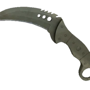 ★ StatTrak™ Talon Knife | Safari Mesh (Minimal Wear)